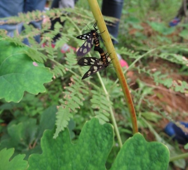 f:id:itablog:20190903102206j:plain