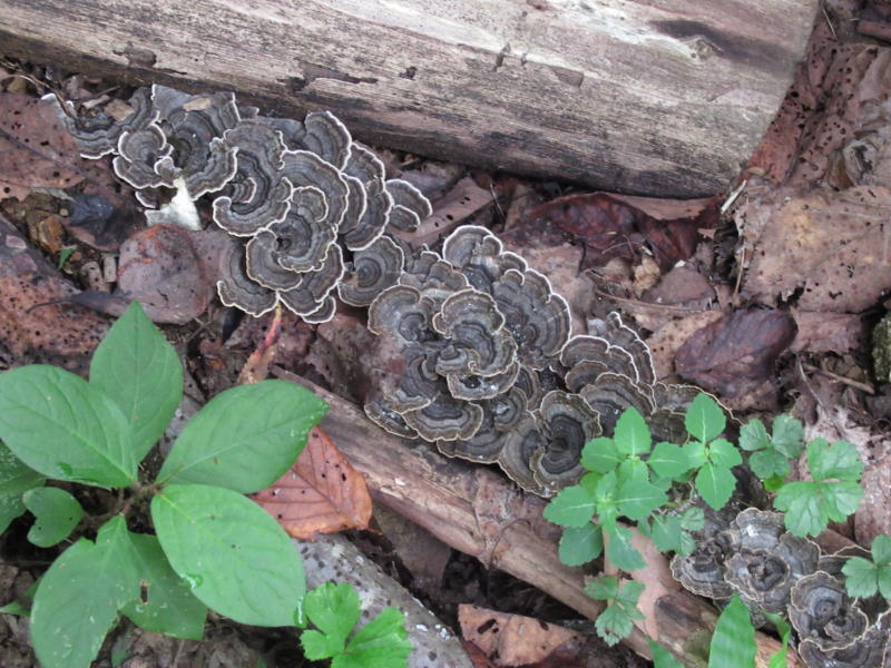 f:id:itablog:20190903125515j:plain