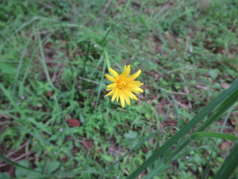 f:id:itablog:20190903130115j:plain