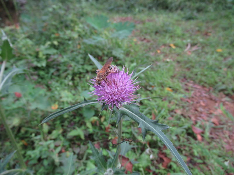 f:id:itablog:20190903130144j:plain