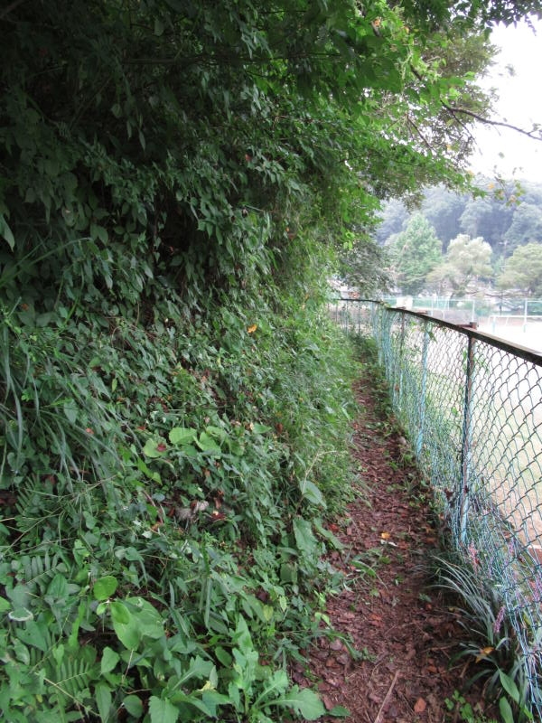 f:id:itablog:20190903130412j:plain