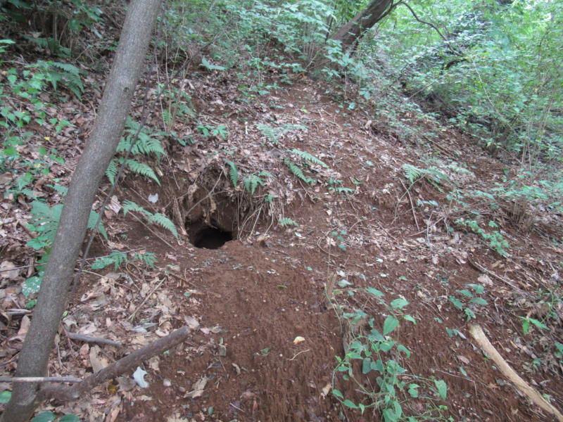 f:id:itablog:20190903131254j:plain