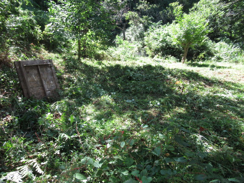 f:id:itablog:20190907110523j:plain