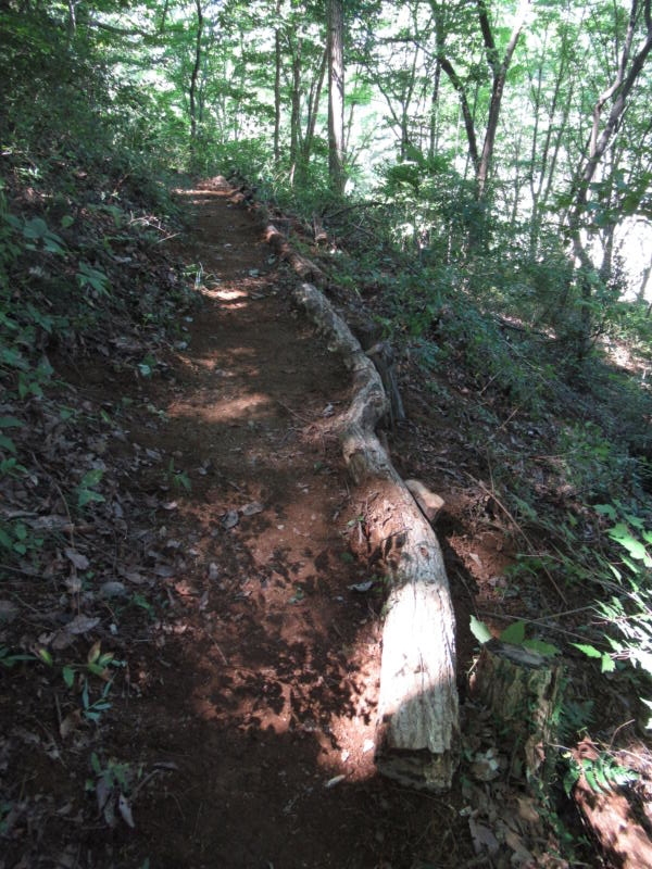 f:id:itablog:20190907113856j:plain