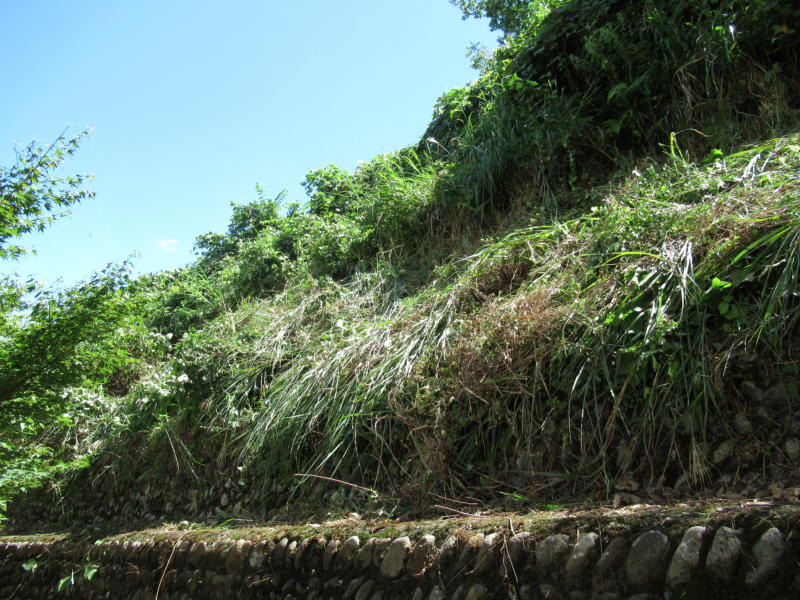 f:id:itablog:20190907121653j:plain