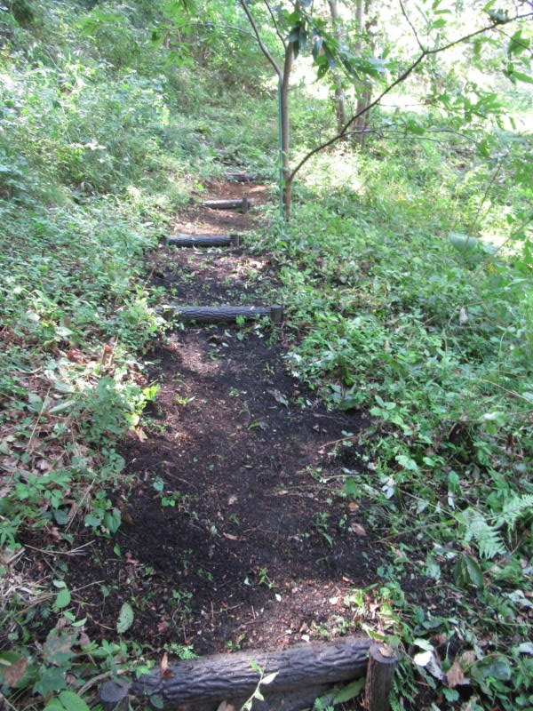 f:id:itablog:20190910110507j:plain