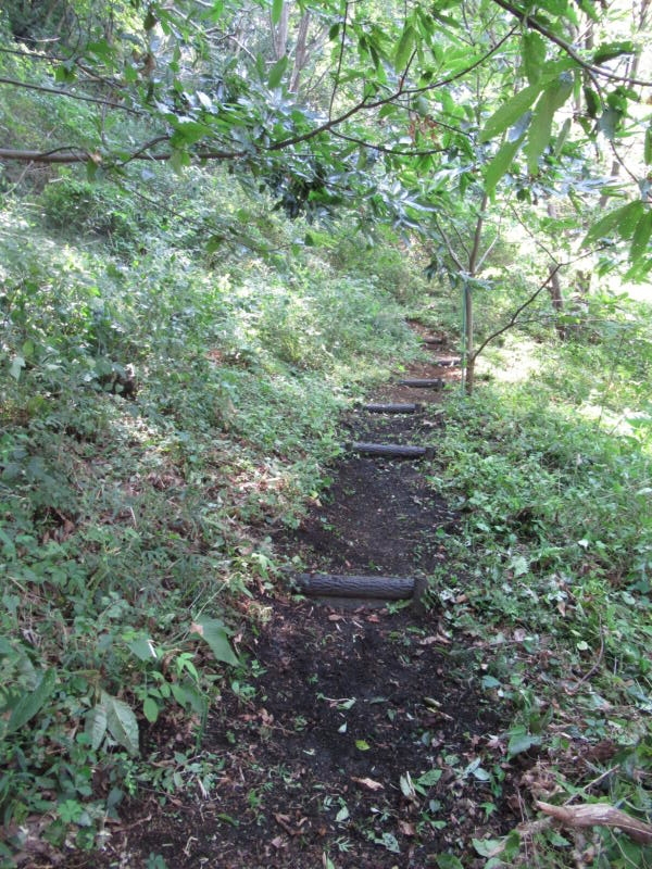 f:id:itablog:20190910111505j:plain