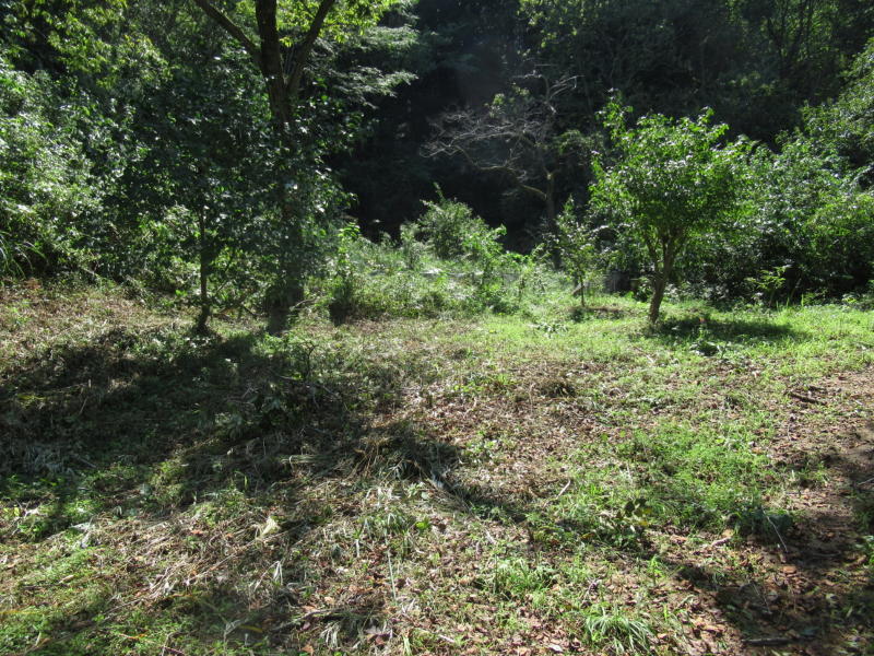 f:id:itablog:20190910114930j:plain