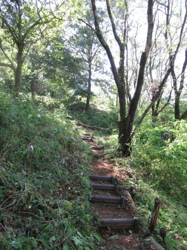 f:id:itablog:20190910115140j:plain