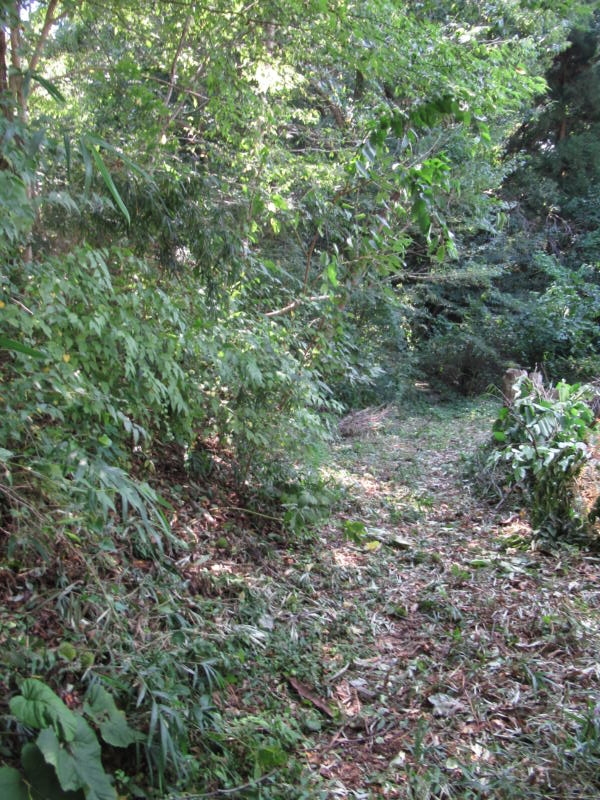 f:id:itablog:20190910115858j:plain