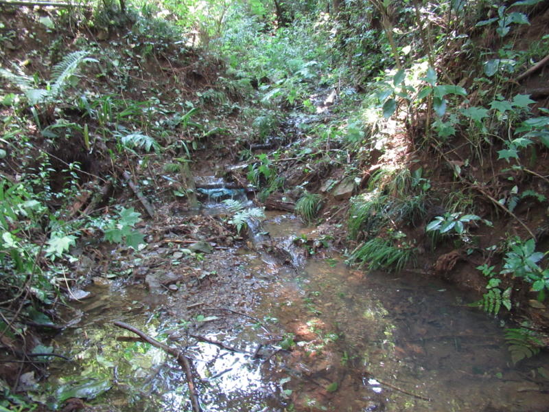 f:id:itablog:20190910120430j:plain