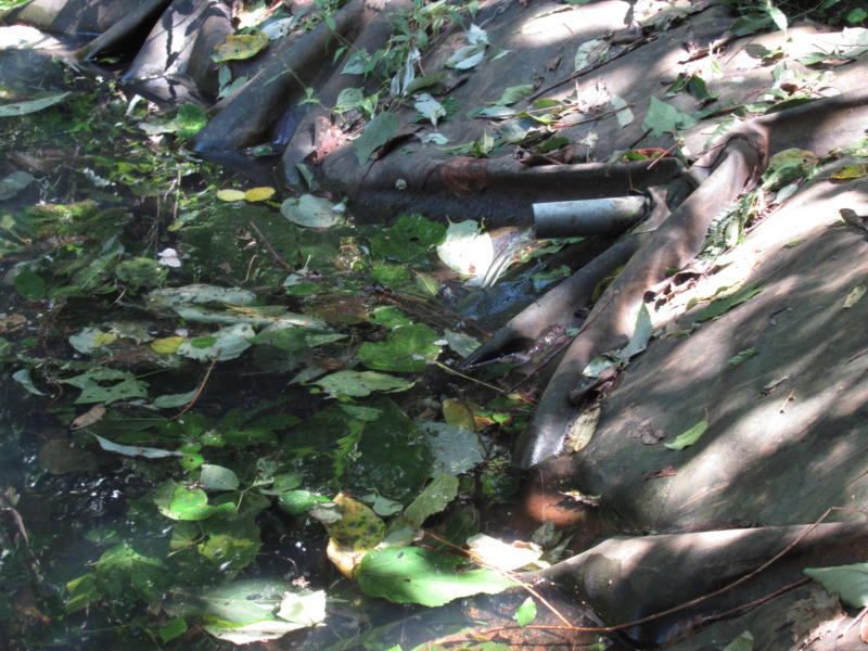 f:id:itablog:20190910120510j:plain