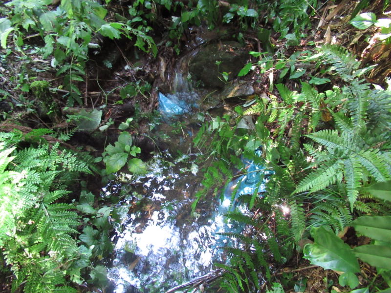 f:id:itablog:20190910120656j:plain