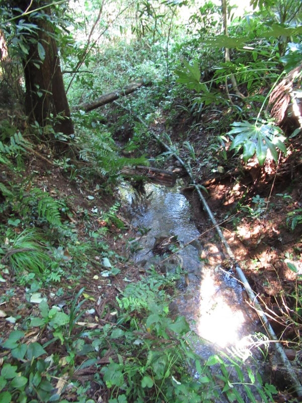 f:id:itablog:20190910120702j:plain