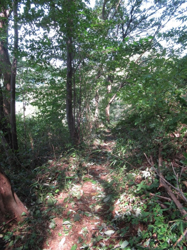 f:id:itablog:20190910122208j:plain