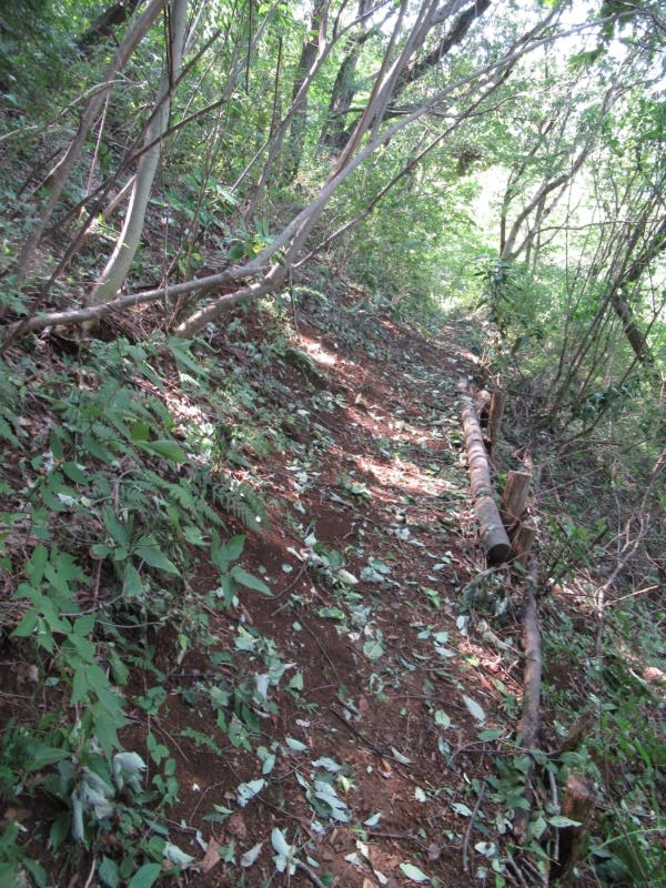 f:id:itablog:20190910122335j:plain