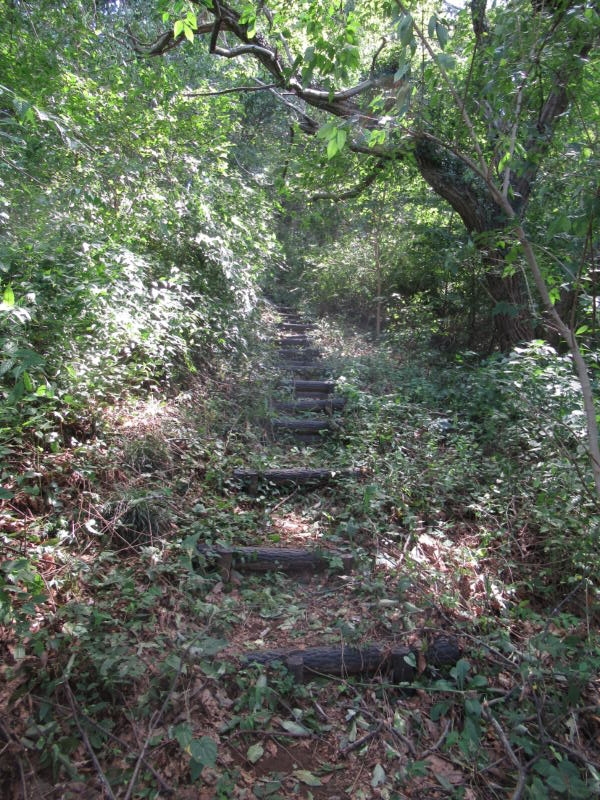 f:id:itablog:20190910122728j:plain