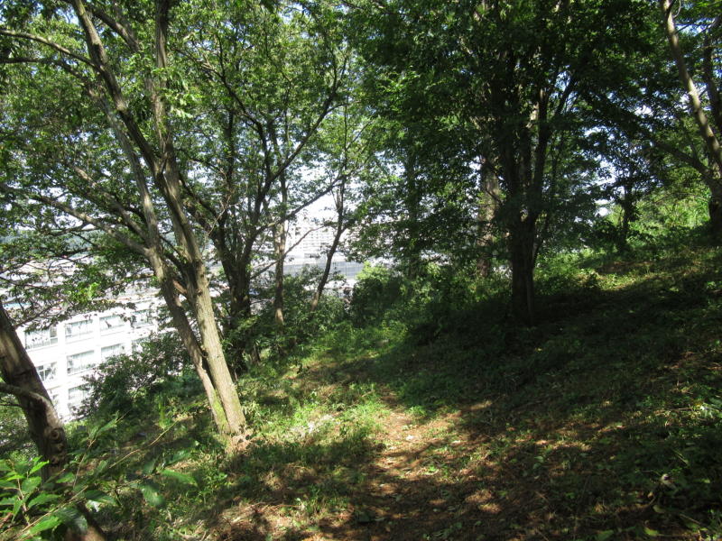 f:id:itablog:20190910122835j:plain