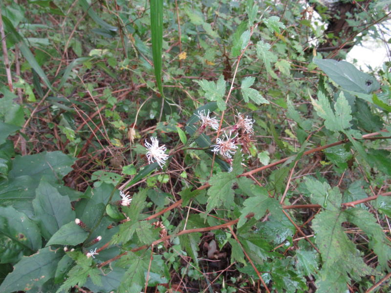 f:id:itablog:20191008102502j:plain