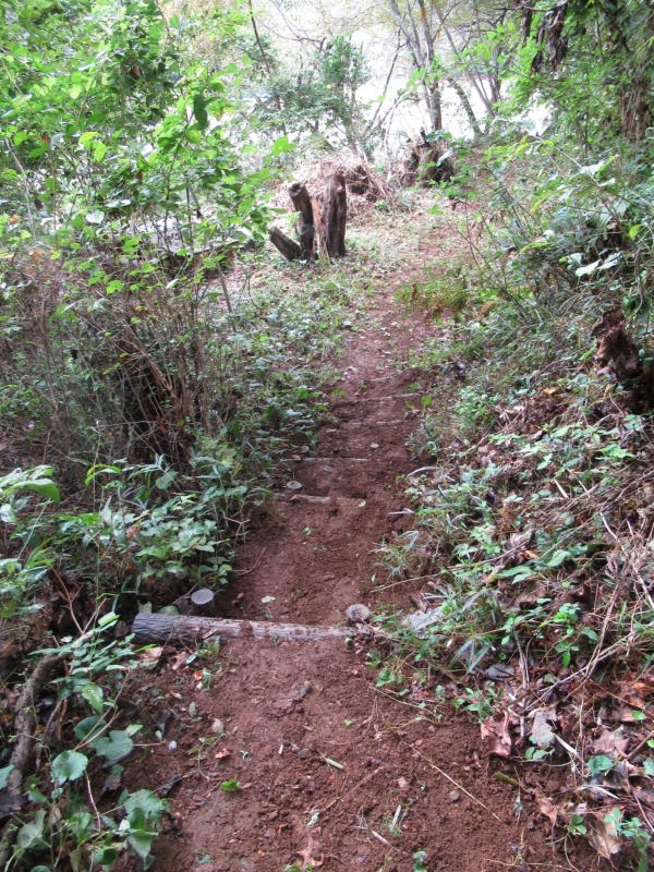 f:id:itablog:20191008114208j:plain