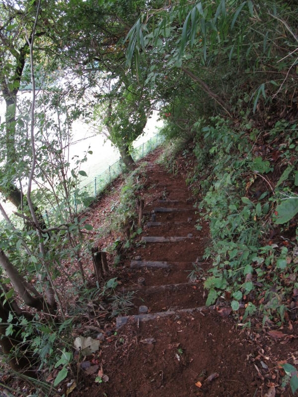 f:id:itablog:20191008114241j:plain