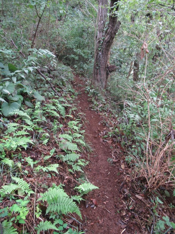 f:id:itablog:20191008114521j:plain