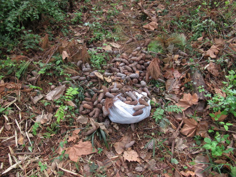 f:id:itablog:20191008115937j:plain