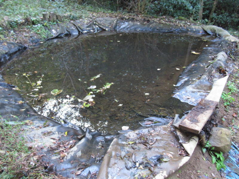 f:id:itablog:20191112131223j:plain