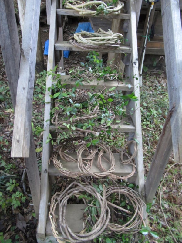 f:id:itablog:20191112131816j:plain