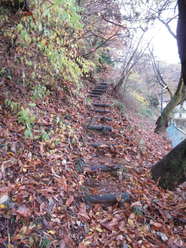 f:id:itablog:20191210100110j:plain