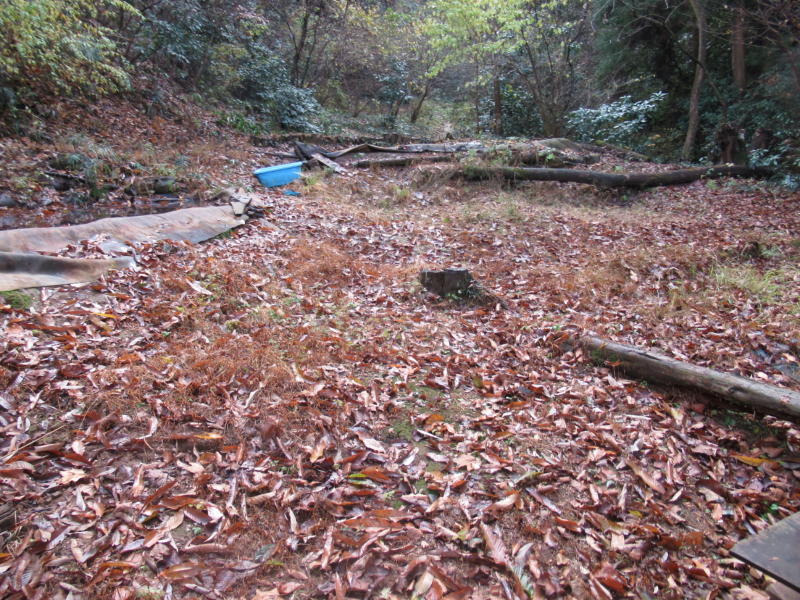 f:id:itablog:20191210100209j:plain