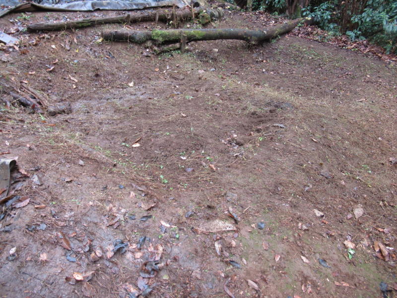 f:id:itablog:20191210110125j:plain