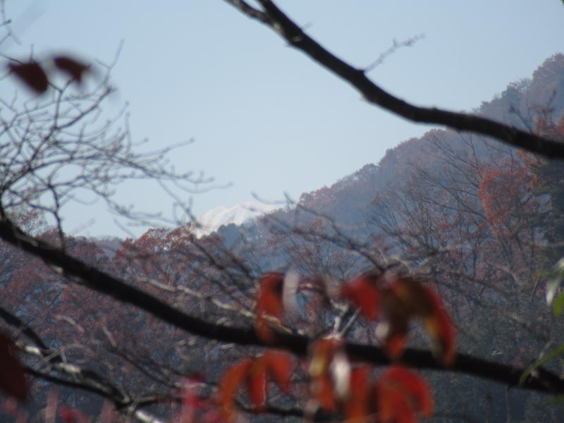 f:id:itablog:20191214113224j:plain