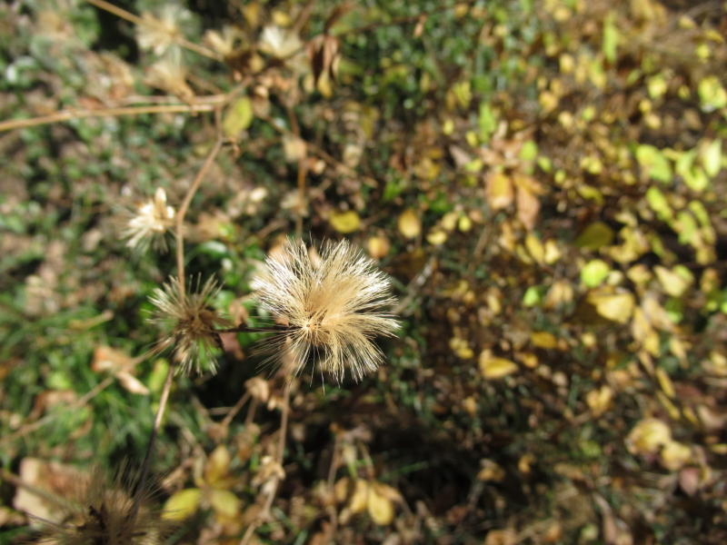 f:id:itablog:20191214115404j:plain