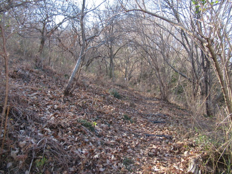 f:id:itablog:20200211102500j:plain