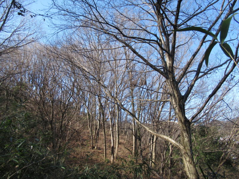 f:id:itablog:20200211102633j:plain