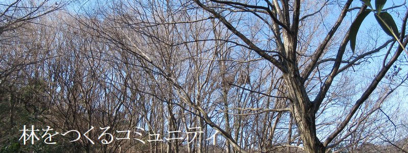 f:id:itablog:20200211102634j:plain