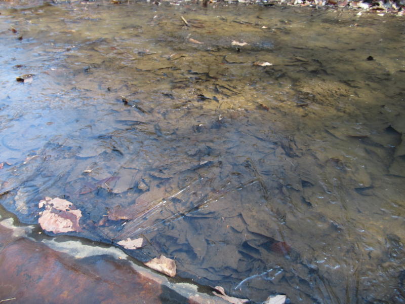 f:id:itablog:20200211103434j:plain