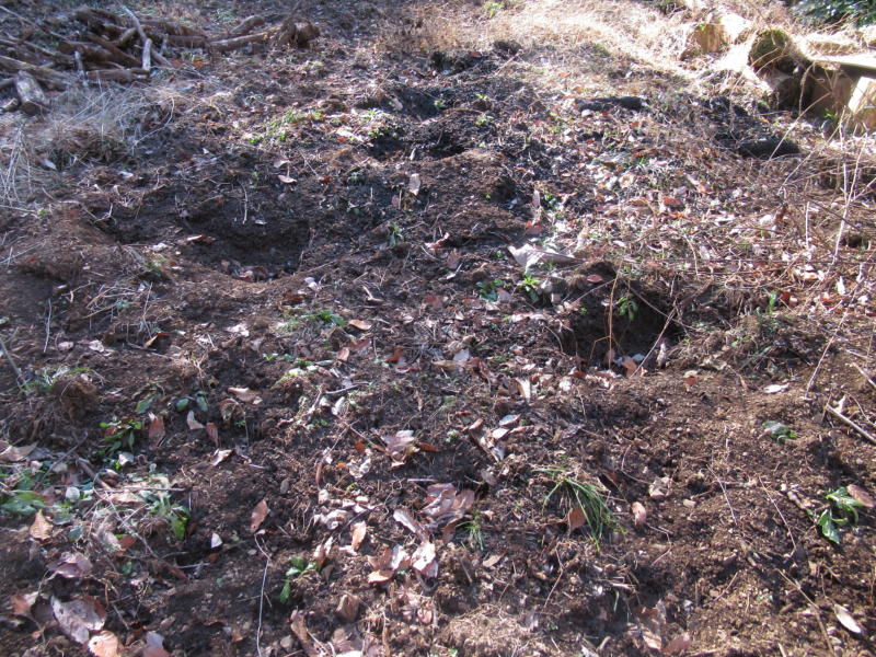 f:id:itablog:20200211103624j:plain