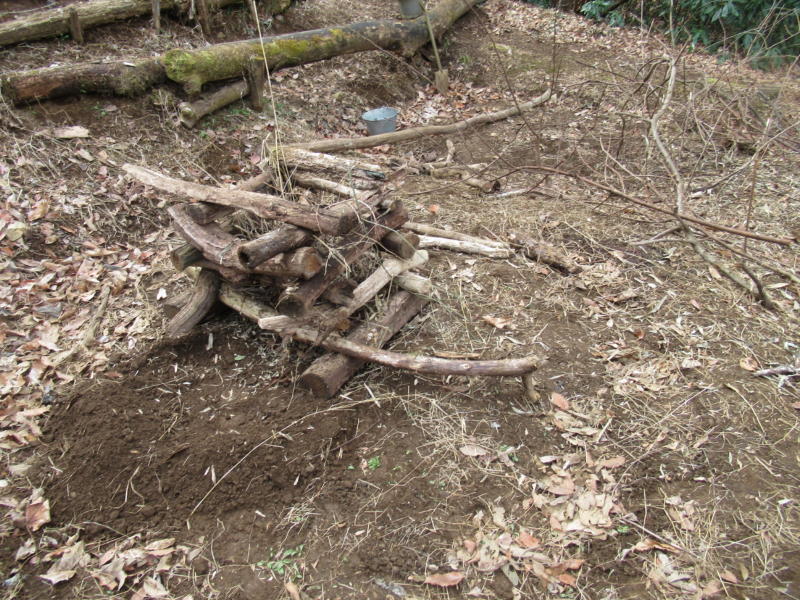 f:id:itablog:20200225101400j:plain