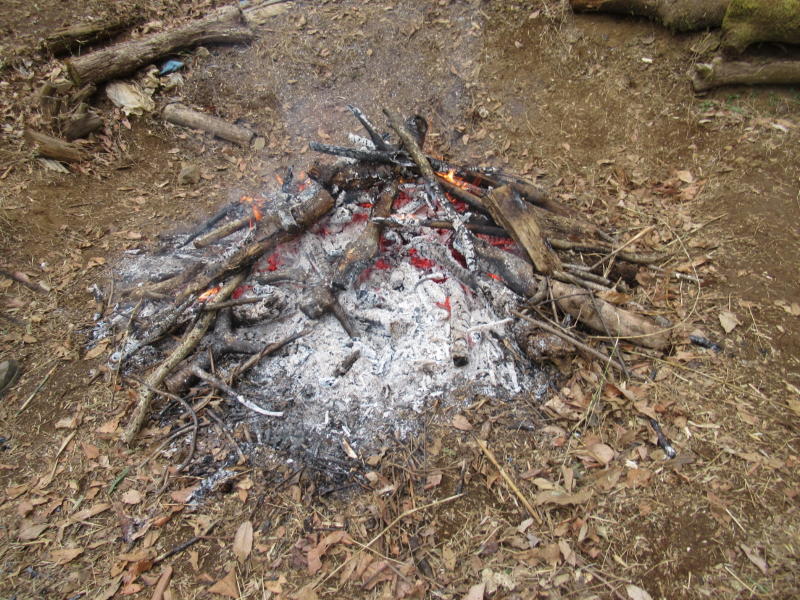 f:id:itablog:20200225115626j:plain