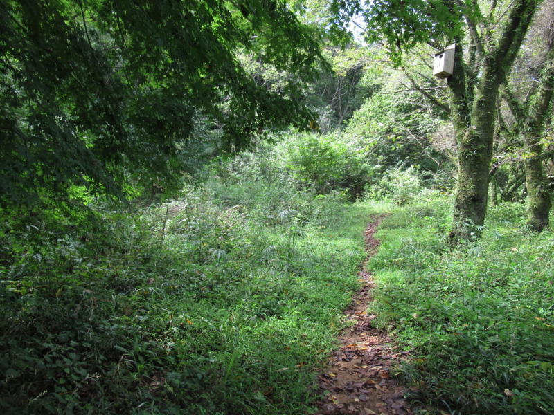 f:id:itablog:20200908095711j:plain