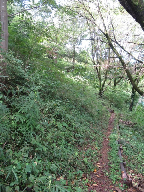 f:id:itablog:20200908095846j:plain