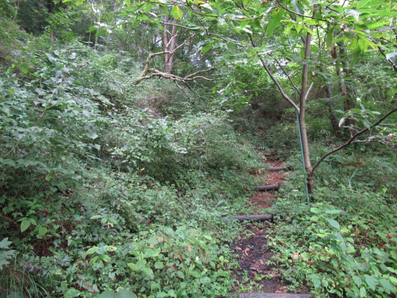 f:id:itablog:20200908100022j:plain