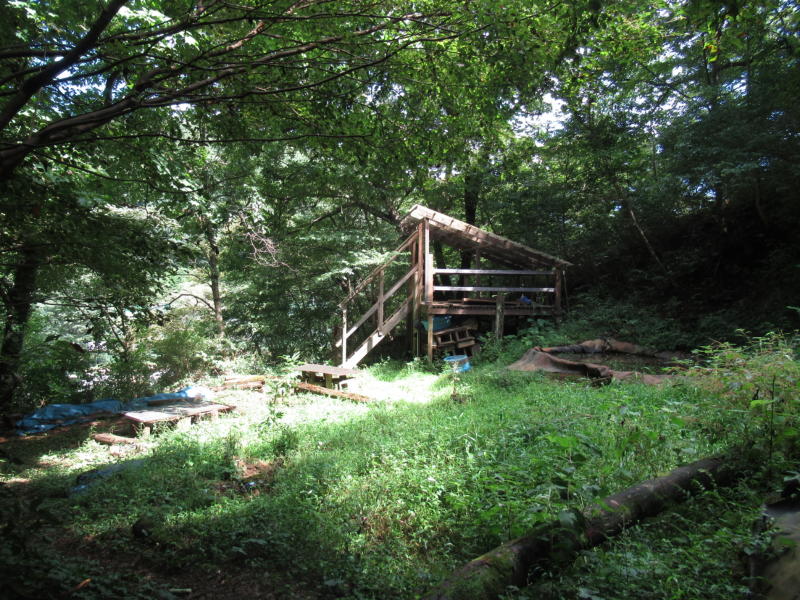 f:id:itablog:20200908100346j:plain