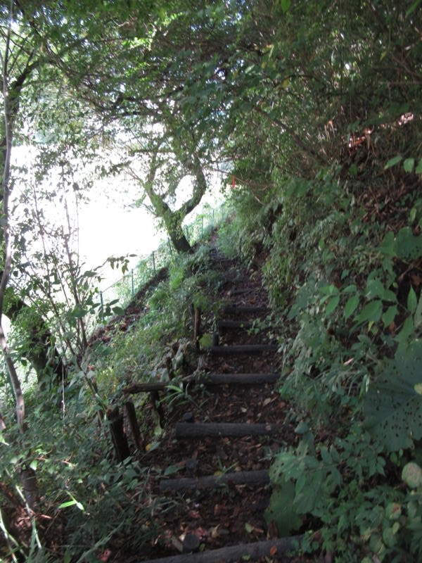 f:id:itablog:20200908100444j:plain