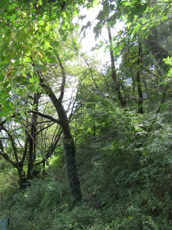 f:id:itablog:20200908100544j:plain