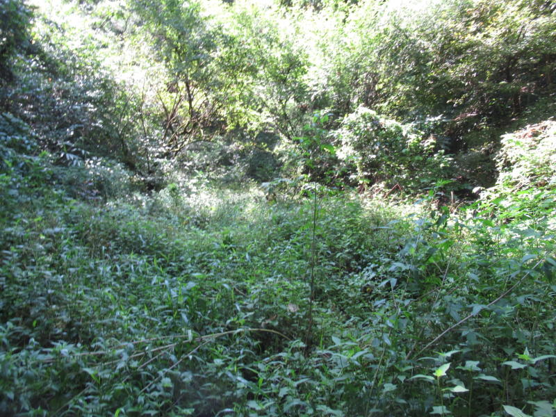 f:id:itablog:20200908103109j:plain