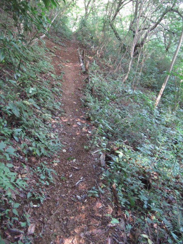 f:id:itablog:20200908104136j:plain