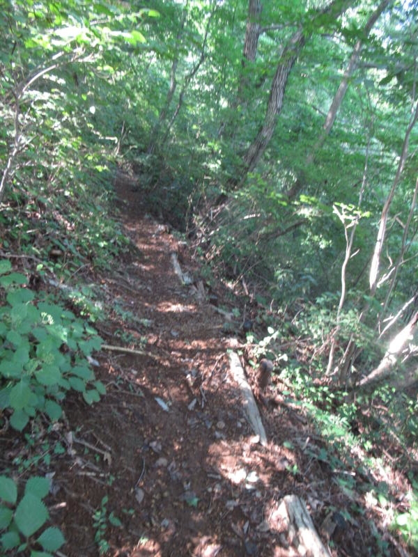 f:id:itablog:20200908104205j:plain